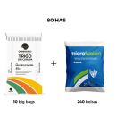 PACK TRIGO DM | 80 has bundle