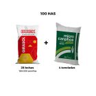 PACK GIRASOL BUCK | 100 HAS