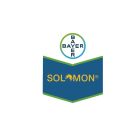 SOLOMON - Imidacloprid 21% + Beta cyflutrina 9% | 20 lts