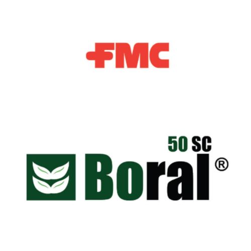 BORAL - Sulfentrazone 50% | 20 lts