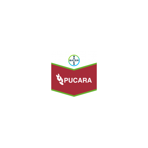 PUCARA | 12 LTS