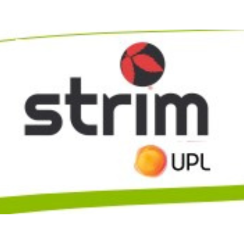 STRIM - Smetolacloro 96 % | 20 lt