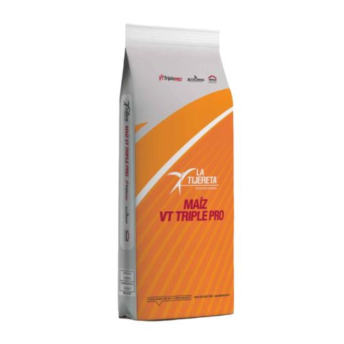 LT 722 VT3P RIB | 80.000 semillas