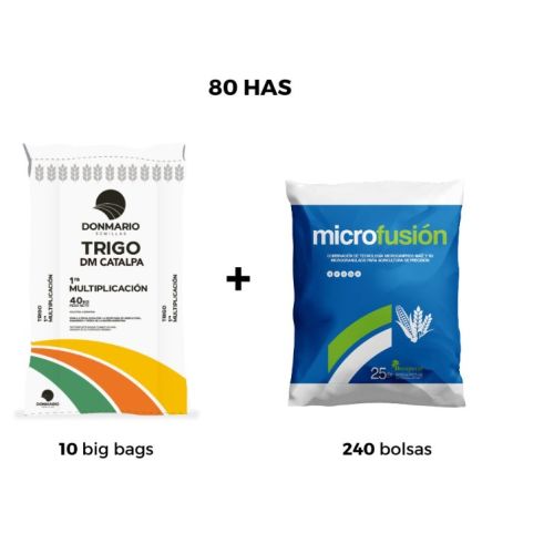 PACK TRIGO DM | 80 has bundle