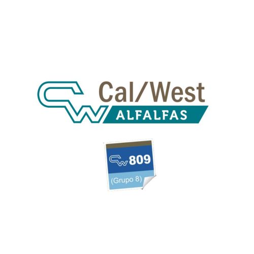 ALFALFA CW 809 | 1250 kg