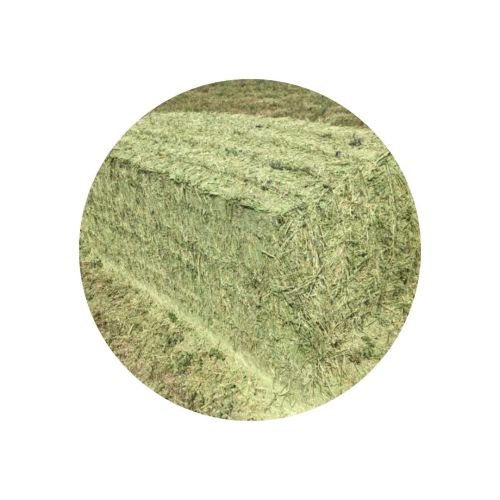 MEGAFARDO DE ALFALFA | 19 TON - 