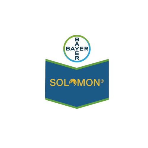 SOLOMON - Imidacloprid 21% + Beta cyflutrina 9% | 20 lts