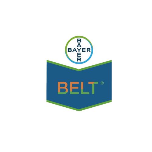 BELT 48 SC - flubendiamide 48% | 12 lts