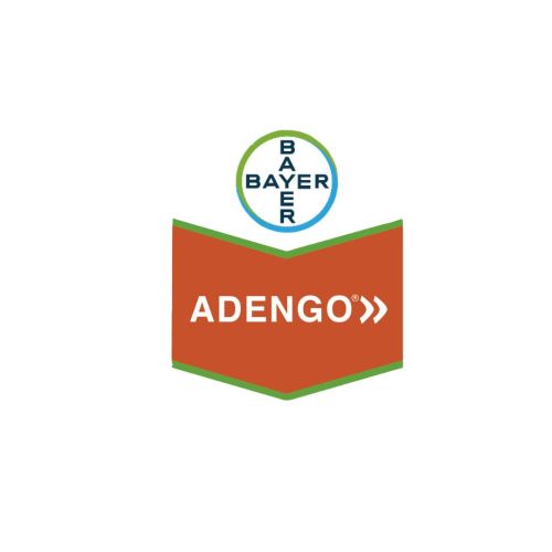 ADENGO - Isoxaflutole 9% + Thiencarbazone metil 22,5% + Cyprosulfamide 15% | 20 lt