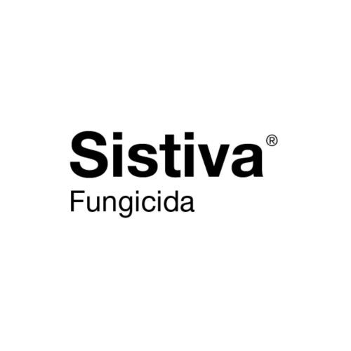 SISTIVA PACK | 4000 kg de semilla