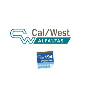 ALFALFA CW 194 PREMIUM | 1250 kg