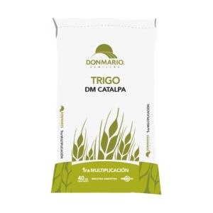 DM CATALPA -  Trigo | Bigbag 800 kg 
