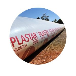 PLASTAR SILO - 10 x 100 GR| 4 u