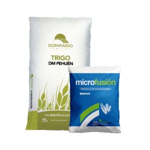 PACK TRIGO DM | 100 HAS