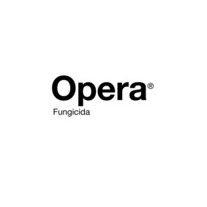 OPERA - Piraclostrobin 13,3% + Epoxiconaloze 5% | 20 lts