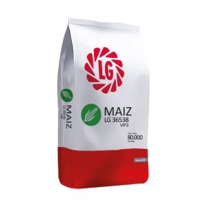 LG 36538 VIP3 | 80.000 semillas