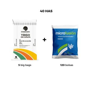 PACK TRIGO DM | 40 has bundle